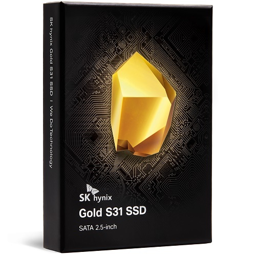 SK하이닉스 Gold S31 (250G)